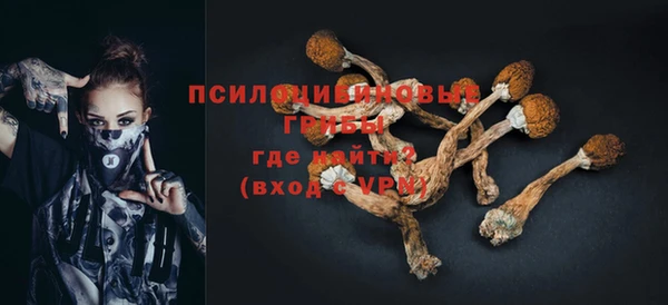 мяу мяу мука Алексеевка