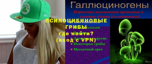 a pvp Алзамай