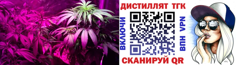 ТГК концентрат Качканар