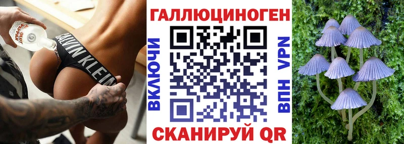MEGA ONION  Качканар  Галлюциногенные грибы мицелий  цены  