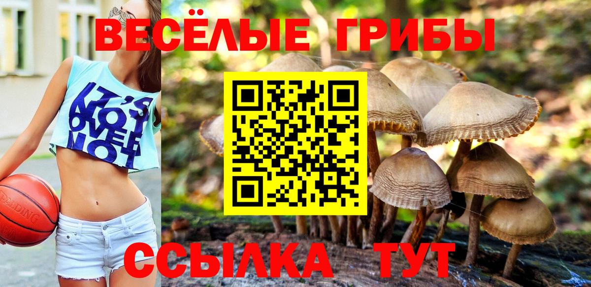 Псилоцибиновые грибы ЛСД Качканар